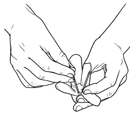 Иллюстрация к книге — Оригинальные украшения из овощей и фруктов [i_024.jpg]