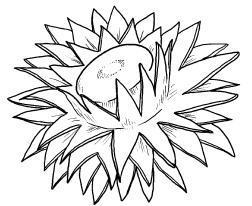 Иллюстрация к книге — Оригинальные украшения из овощей и фруктов [i_034.jpg]