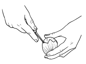 Иллюстрация к книге — Оригинальные украшения из овощей и фруктов [i_038.jpg]