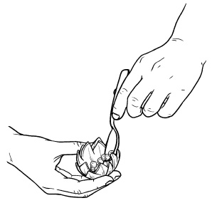 Иллюстрация к книге — Оригинальные украшения из овощей и фруктов [i_040.jpg]