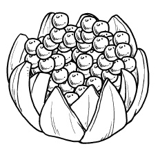 Иллюстрация к книге — Оригинальные украшения из овощей и фруктов [i_041.jpg]