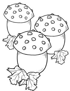 Иллюстрация к книге — Оригинальные украшения из овощей и фруктов [i_064.jpg]