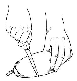 Иллюстрация к книге — Оригинальные украшения из овощей и фруктов [i_066.jpg]