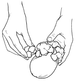 Иллюстрация к книге — Оригинальные украшения из овощей и фруктов [i_067.jpg]