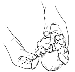 Иллюстрация к книге — Оригинальные украшения из овощей и фруктов [i_068.jpg]