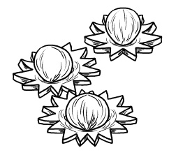 Иллюстрация к книге — Оригинальные украшения из овощей и фруктов [i_073.jpg]