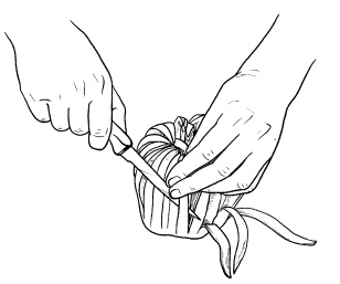 Иллюстрация к книге — Оригинальные украшения из овощей и фруктов [i_075.jpg]