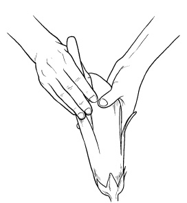 Иллюстрация к книге — Оригинальные украшения из овощей и фруктов [i_077.jpg]