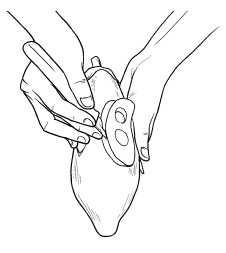 Иллюстрация к книге — Оригинальные украшения из овощей и фруктов [i_078.jpg]