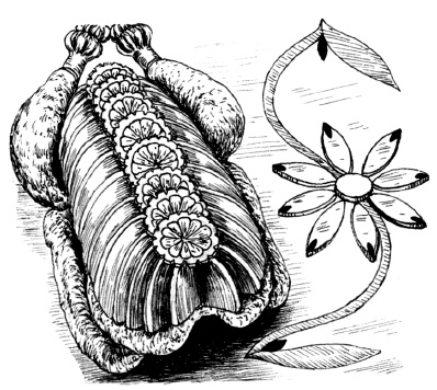 Иллюстрация к книге — Оригинальные украшения из овощей и фруктов [i_081.jpg]