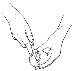 Иллюстрация к книге — Оригинальные украшения из овощей и фруктов [i_100.jpg]