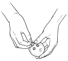 Иллюстрация к книге — Оригинальные украшения из овощей и фруктов [i_102.jpg]