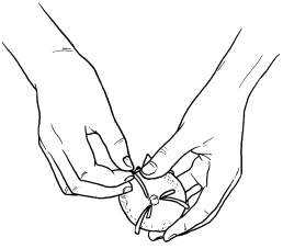 Иллюстрация к книге — Оригинальные украшения из овощей и фруктов [i_103.jpg]