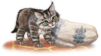 Иллюстрация к книге — Необыкновенные приключения кошки Нюси. Домовой и тайна волшебной книги [i_002.jpg]