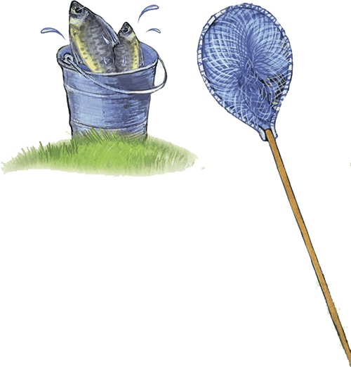 Иллюстрация к книге — Необыкновенные приключения кошки Нюси. Домовой и тайна волшебной книги [i_036.jpg]