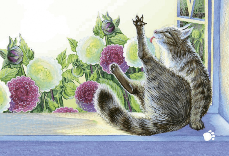 Иллюстрация к книге — Необыкновенные приключения кошки Нюси. Домовой и тайна волшебной книги [i_039.jpg]