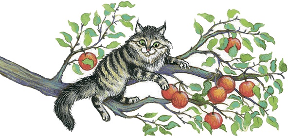 Иллюстрация к книге — Необыкновенные приключения кошки Нюси. Домовой и тайна волшебной книги [i_051.jpg]