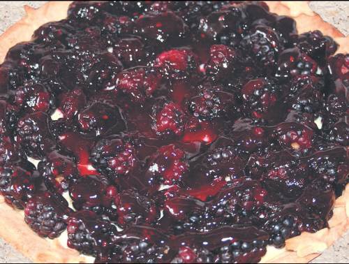 Иллюстрация к книге — Необыкновенные блюда из консервированных и замороженных продуктов. Мясо, рыба, морепродукты, овощи, фрукты [_15.jpg]