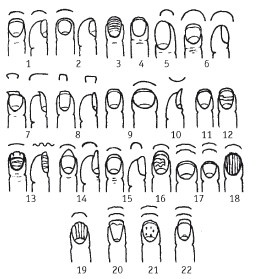 Иллюстрация к книге — Эксклюзивный маникюр и педикюр [i_001.jpg]