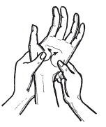 Иллюстрация к книге — Эксклюзивный маникюр и педикюр [i_015.jpg]