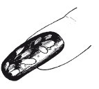 Иллюстрация к книге — Эксклюзивный маникюр и педикюр [i_040.jpg]