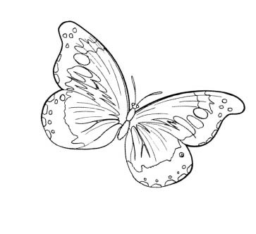 Иллюстрация к книге — Игра в Иную Реальность. Книга Знаний [i_031.jpg]