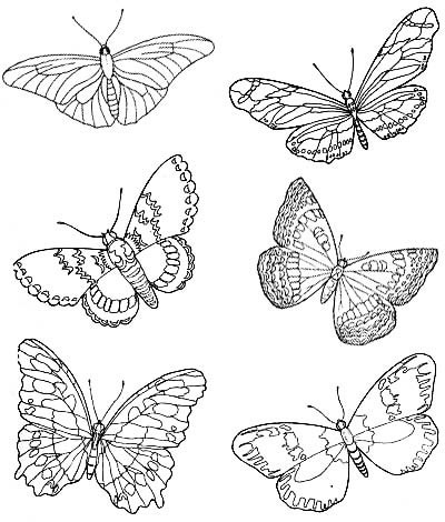 Иллюстрация к книге — Игра в Иную Реальность. Книга Знаний [i_050.jpg]