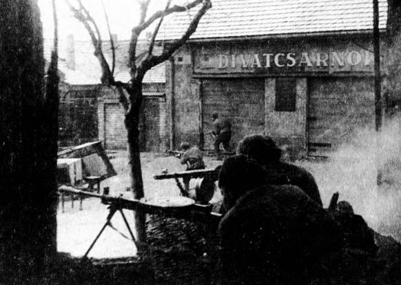 Иллюстрация к книге — Осада Будапешта. 100 дней Второй мировой войны [i_082.jpg]