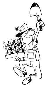 Иллюстрация к книге — Огород и сад без хлопот и затрат [i_003.jpg]