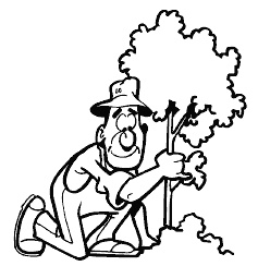 Иллюстрация к книге — Огород и сад без хлопот и затрат [i_004.jpg]