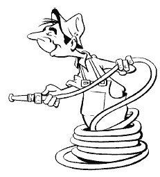 Иллюстрация к книге — Огород и сад без хлопот и затрат [i_009.jpg]