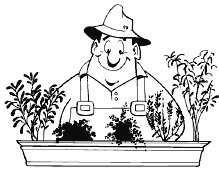 Иллюстрация к книге — Огород и сад без хлопот и затрат [i_019.jpg]