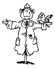 Иллюстрация к книге — Огород и сад без хлопот и затрат [i_021.jpg]