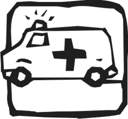 Иллюстрация к книге — Лучшие народные лекарства [i_009.jpg]