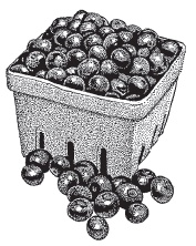 Иллюстрация к книге — Ягоды и фрукты. Заготовки по-деревенски [i_008.jpg]