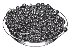 Иллюстрация к книге — Ягоды и фрукты. Заготовки по-деревенски [i_015.jpg]