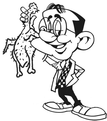 Иллюстрация к книге — Кухня эконом-класса [i_006.jpg]