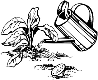 Иллюстрация к книге — Большая энциклопедия дачника [_02.jpg]