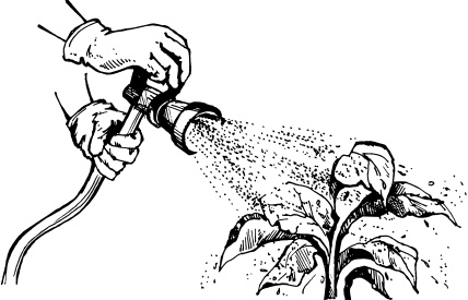 Иллюстрация к книге — Большая энциклопедия дачника [_04.jpg]