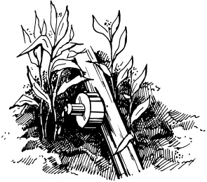 Иллюстрация к книге — Большая энциклопедия дачника [_06.jpg]