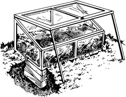 Иллюстрация к книге — Большая энциклопедия дачника [_10.jpg]