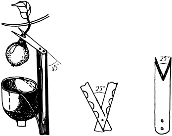 Иллюстрация к книге — Большая энциклопедия дачника [_17.jpg]