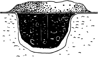 Иллюстрация к книге — Большая энциклопедия дачника [_29.jpg]