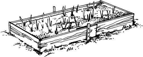 Иллюстрация к книге — Большая энциклопедия дачника [_32.jpg]