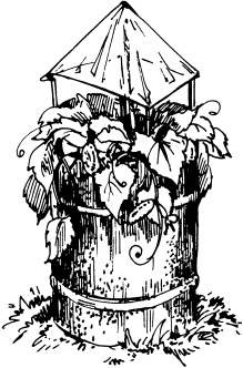 Иллюстрация к книге — Большая энциклопедия дачника [_33.jpg]