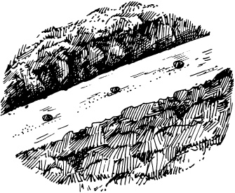 Иллюстрация к книге — Большая энциклопедия дачника [_36.jpg]