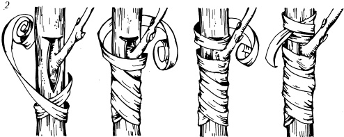 Иллюстрация к книге — Большая энциклопедия дачника [_48_2.jpg]