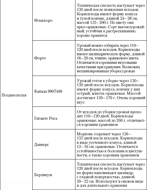 Иллюстрация к книге — Большая энциклопедия дачника [_t13_8.jpg]