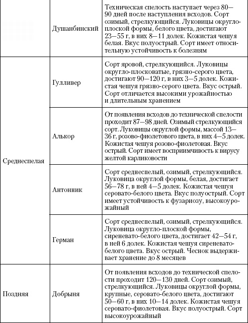 Иллюстрация к книге — Большая энциклопедия дачника [_t27_2.jpg]