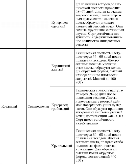 Иллюстрация к книге — Большая энциклопедия дачника [_t31_3.jpg]
